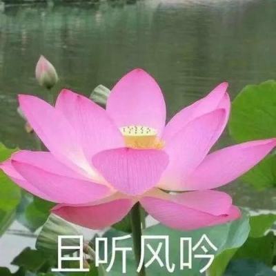 宁夏破获首例“控评网络水军”案